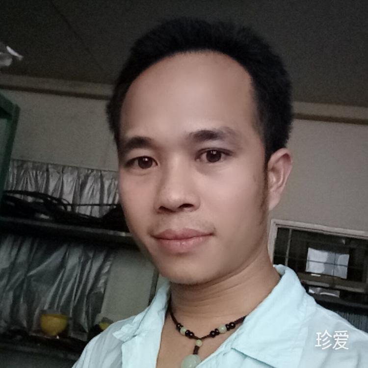 忆本书