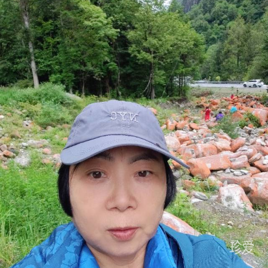 自由飞翔