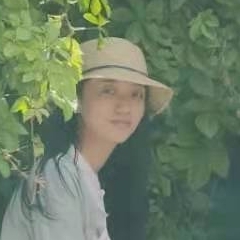 風(fēng)吹落葉飄動(dòng)的美