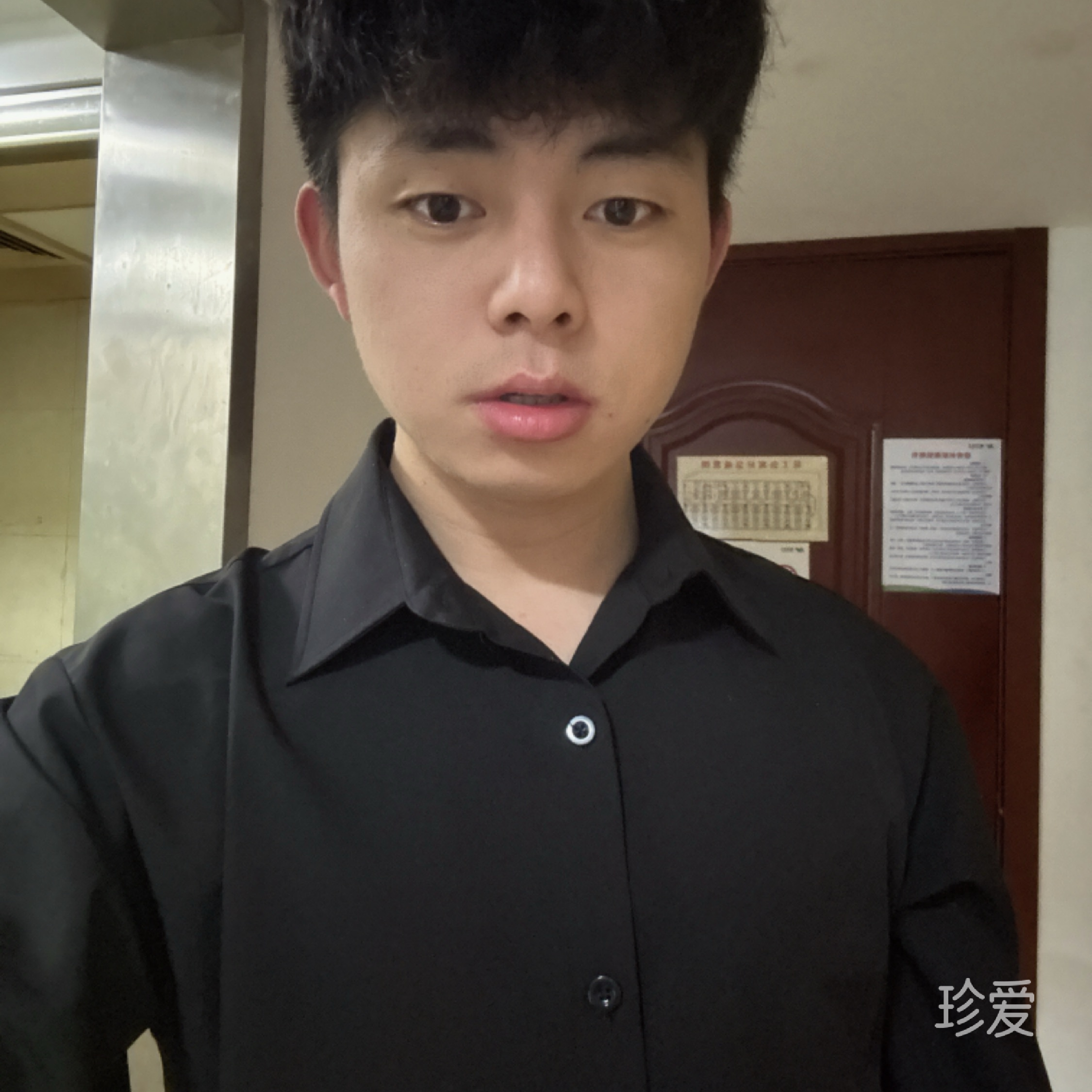 浅海鲨鱼