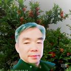 股道金錦_小兔