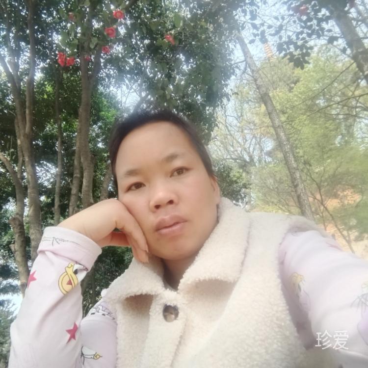 陽(yáng)光下的風(fēng)景