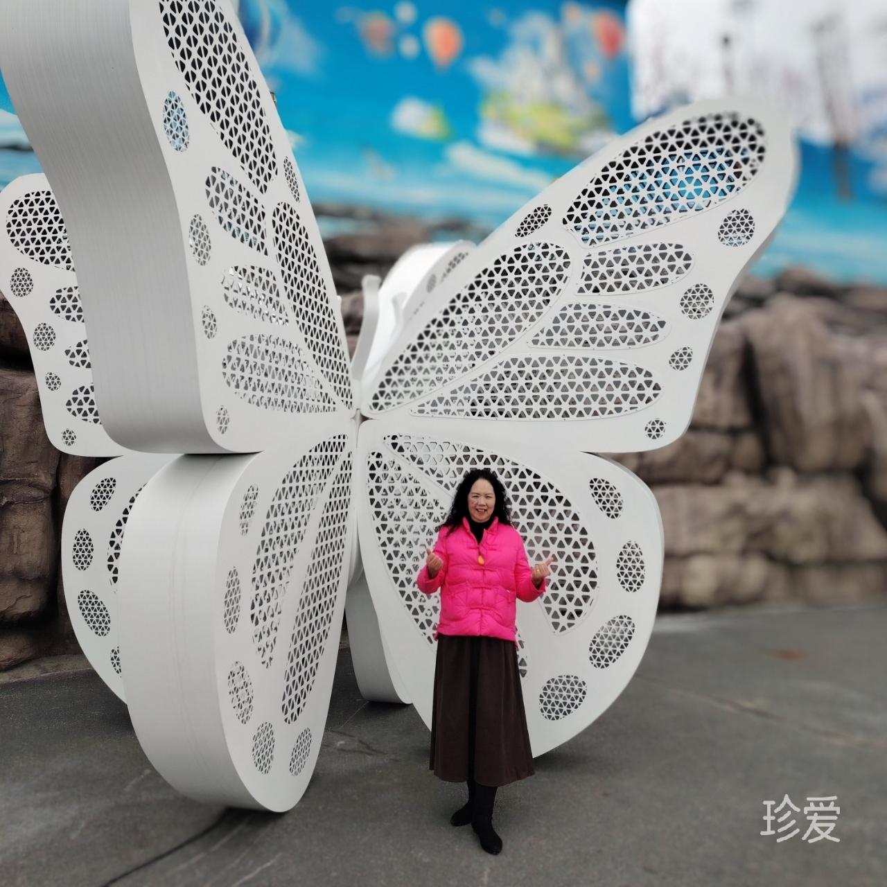 椰子树