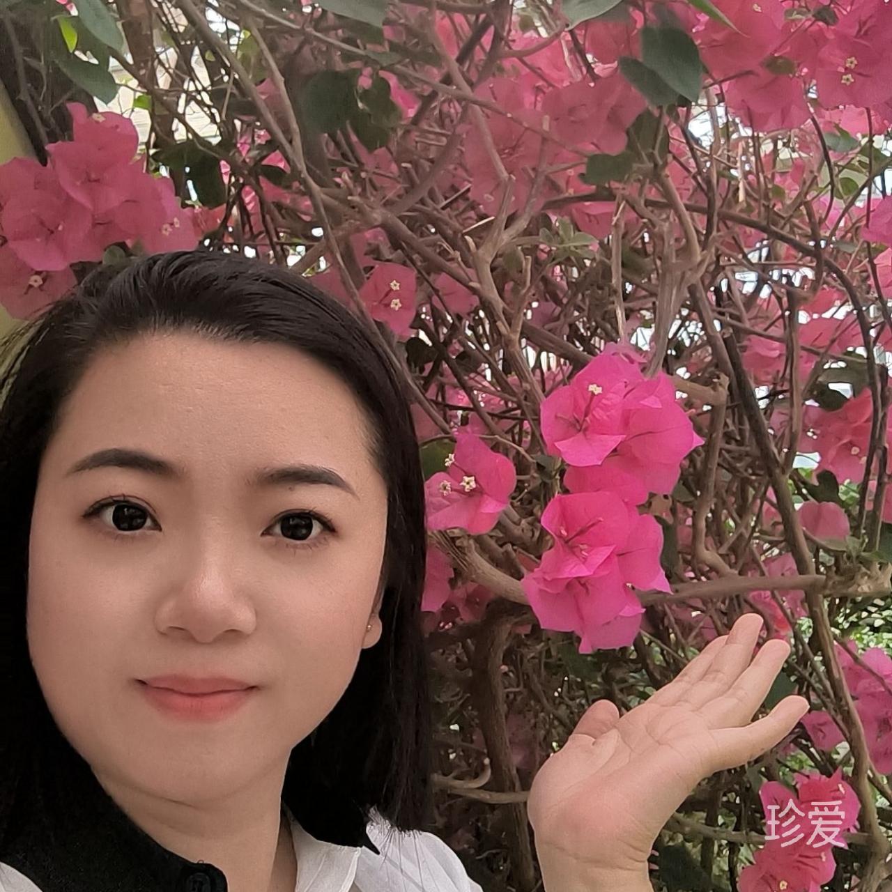 白牡丹