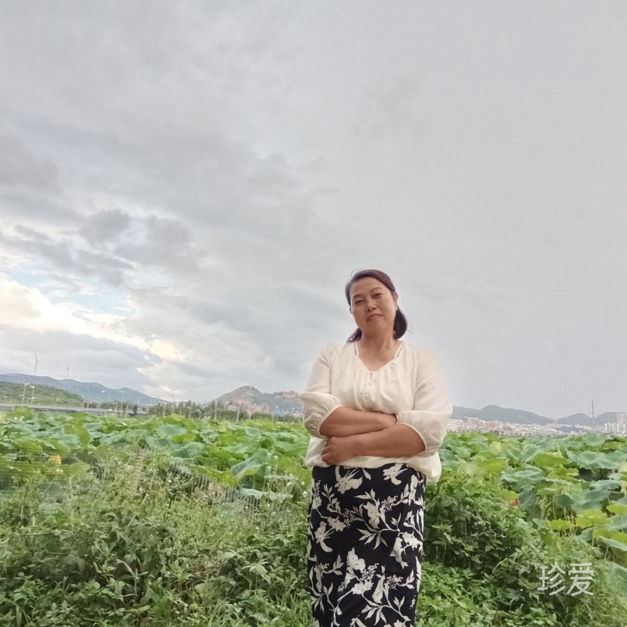 迷路的云