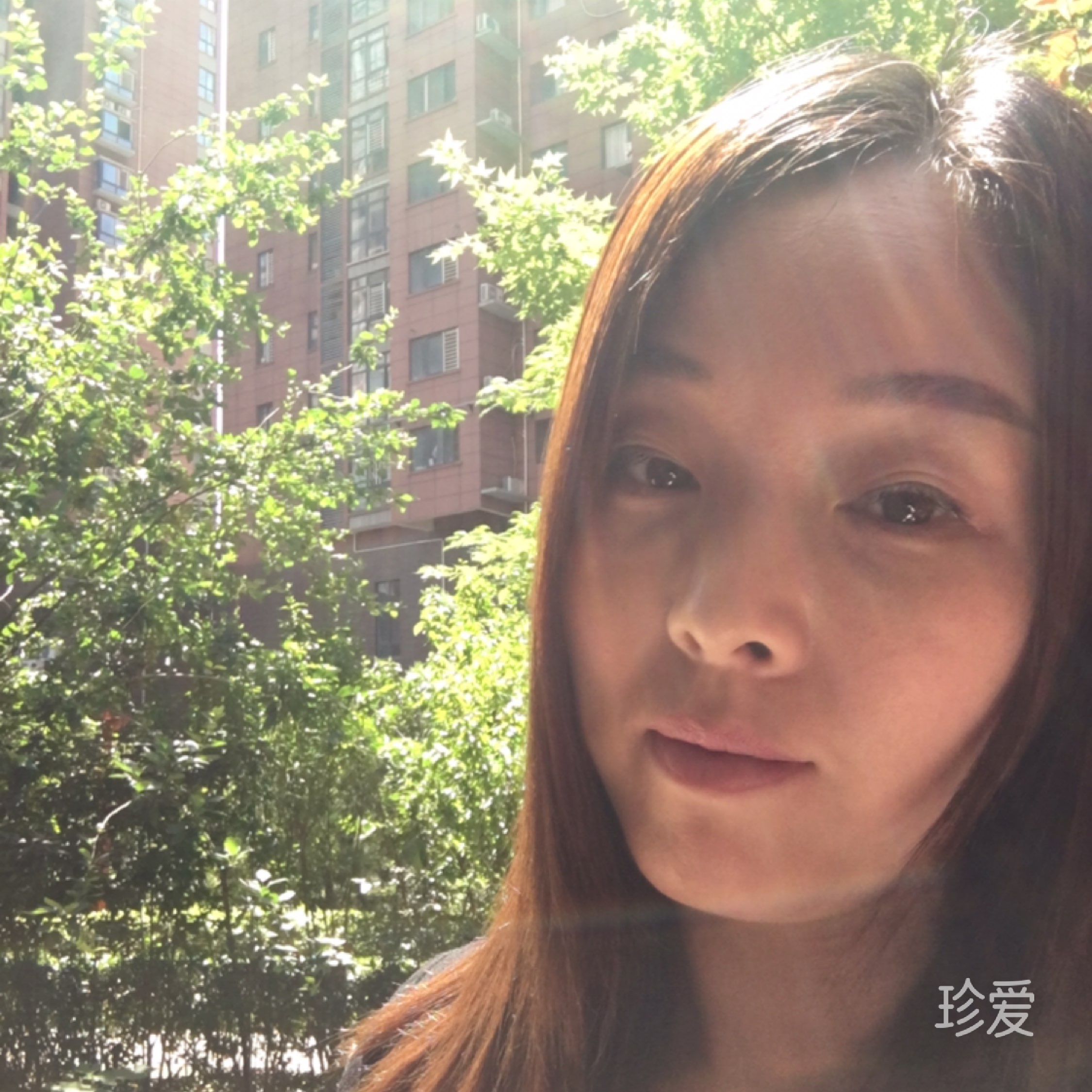 也许明天