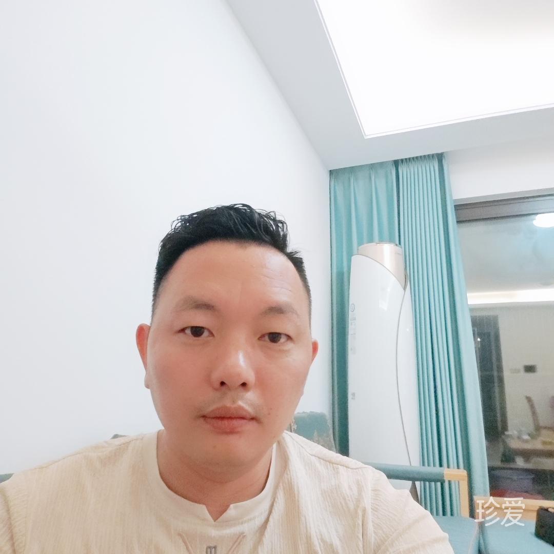 奔跑的蚂蚁