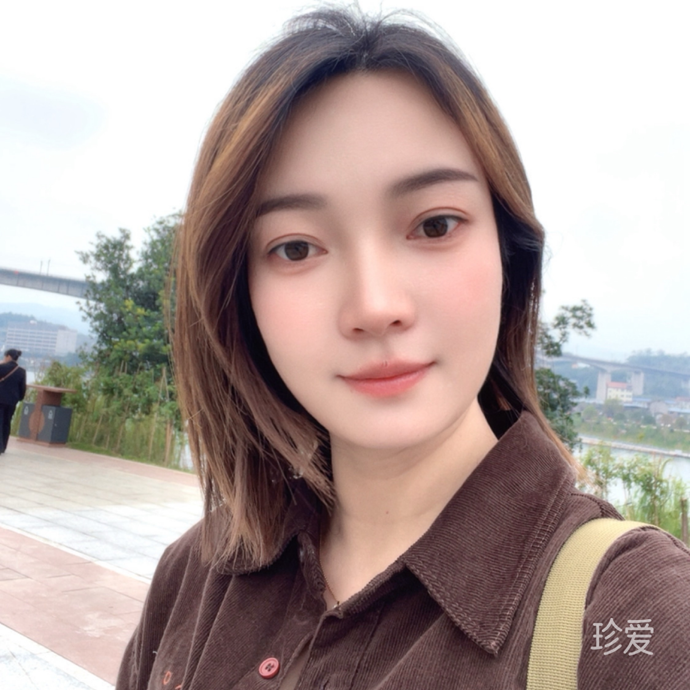杜鹃花开