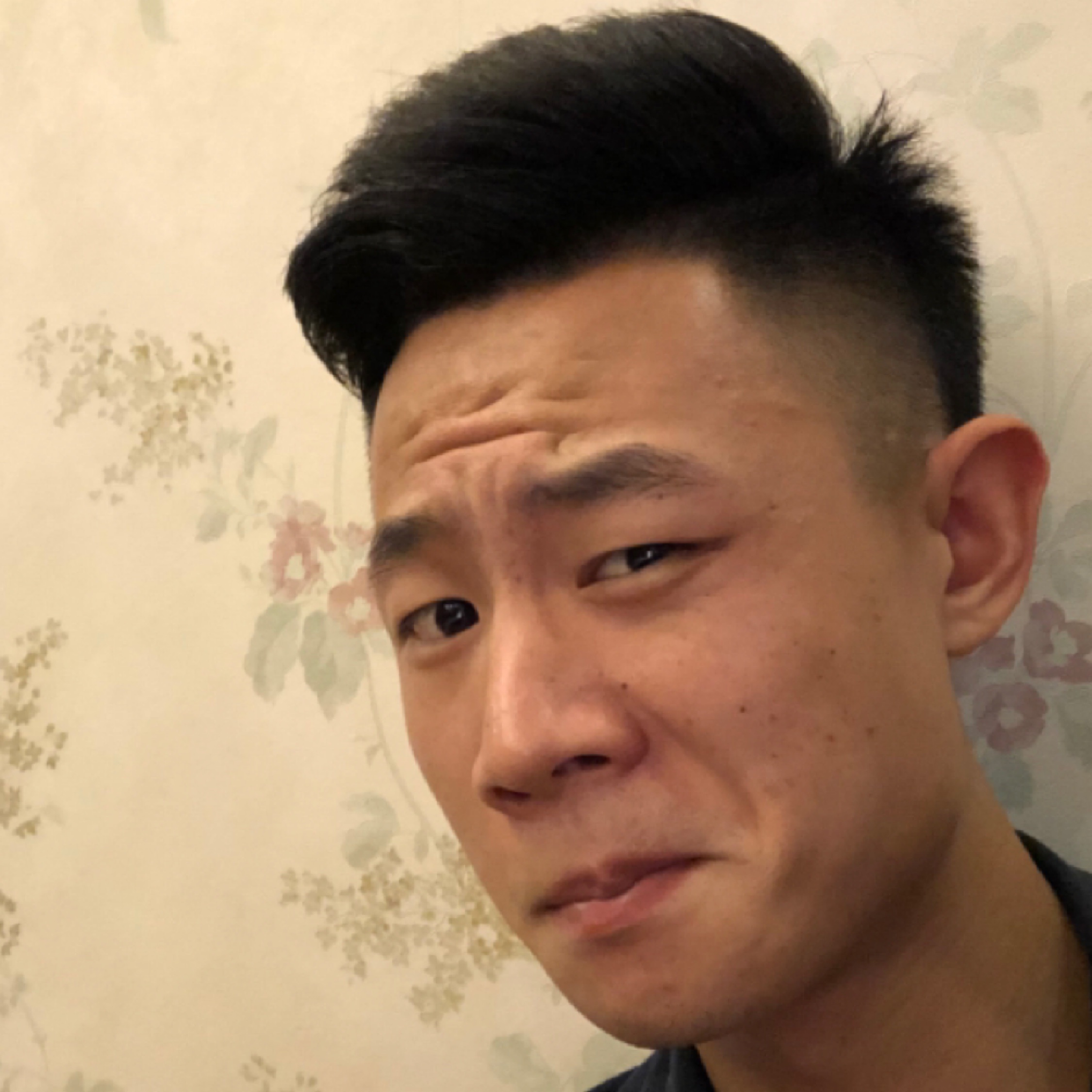 我是骡子不是白马