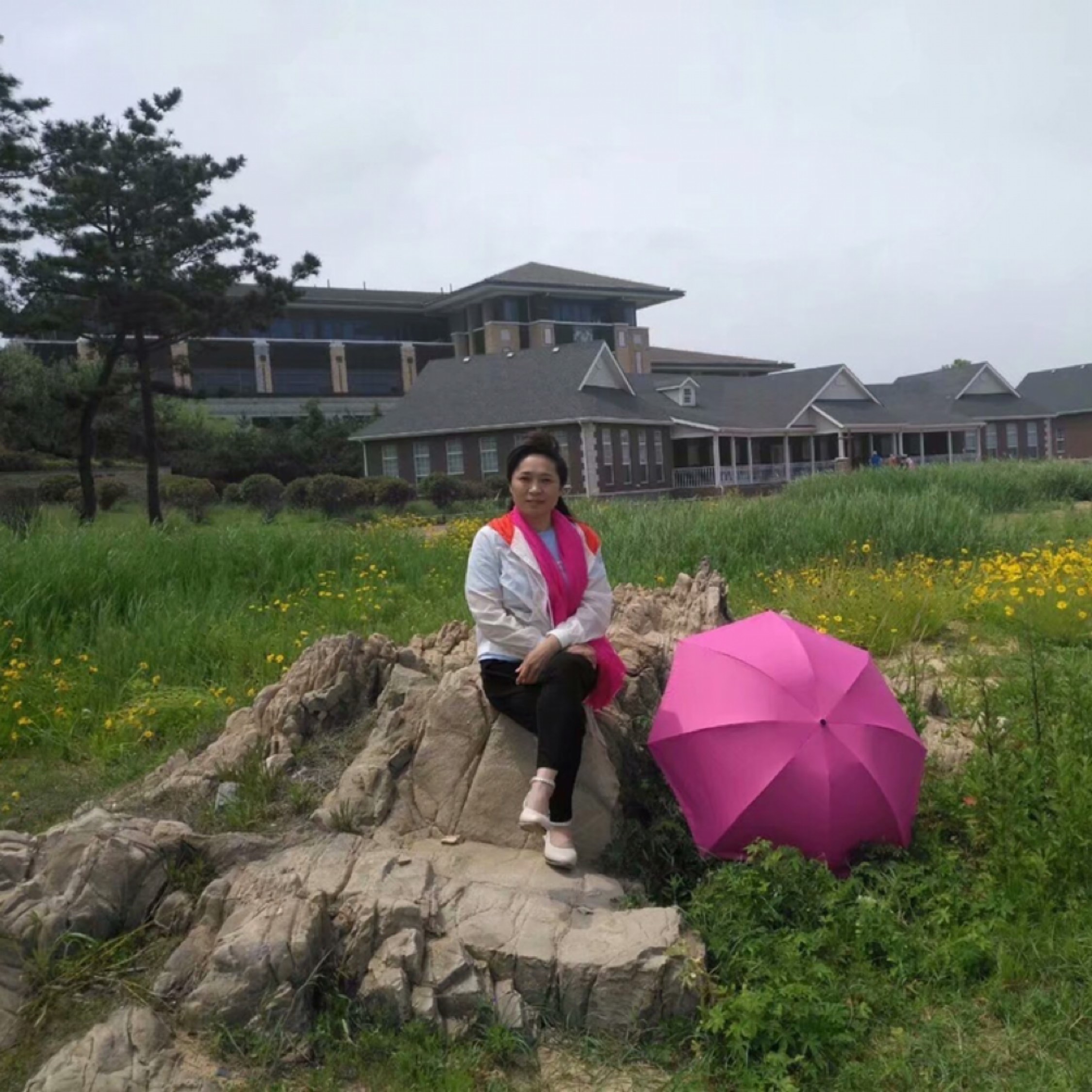 陽光總在風雨后