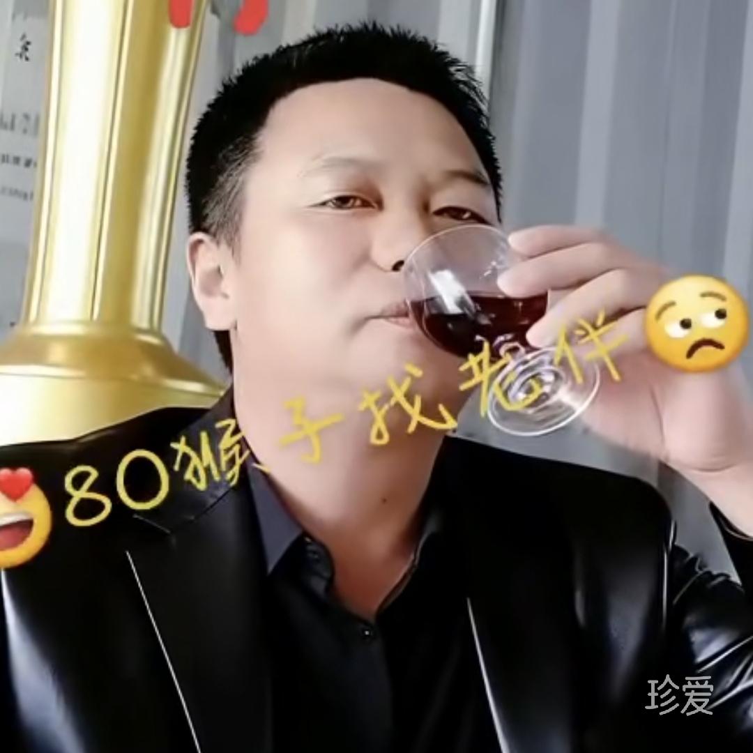 逝去的理想
