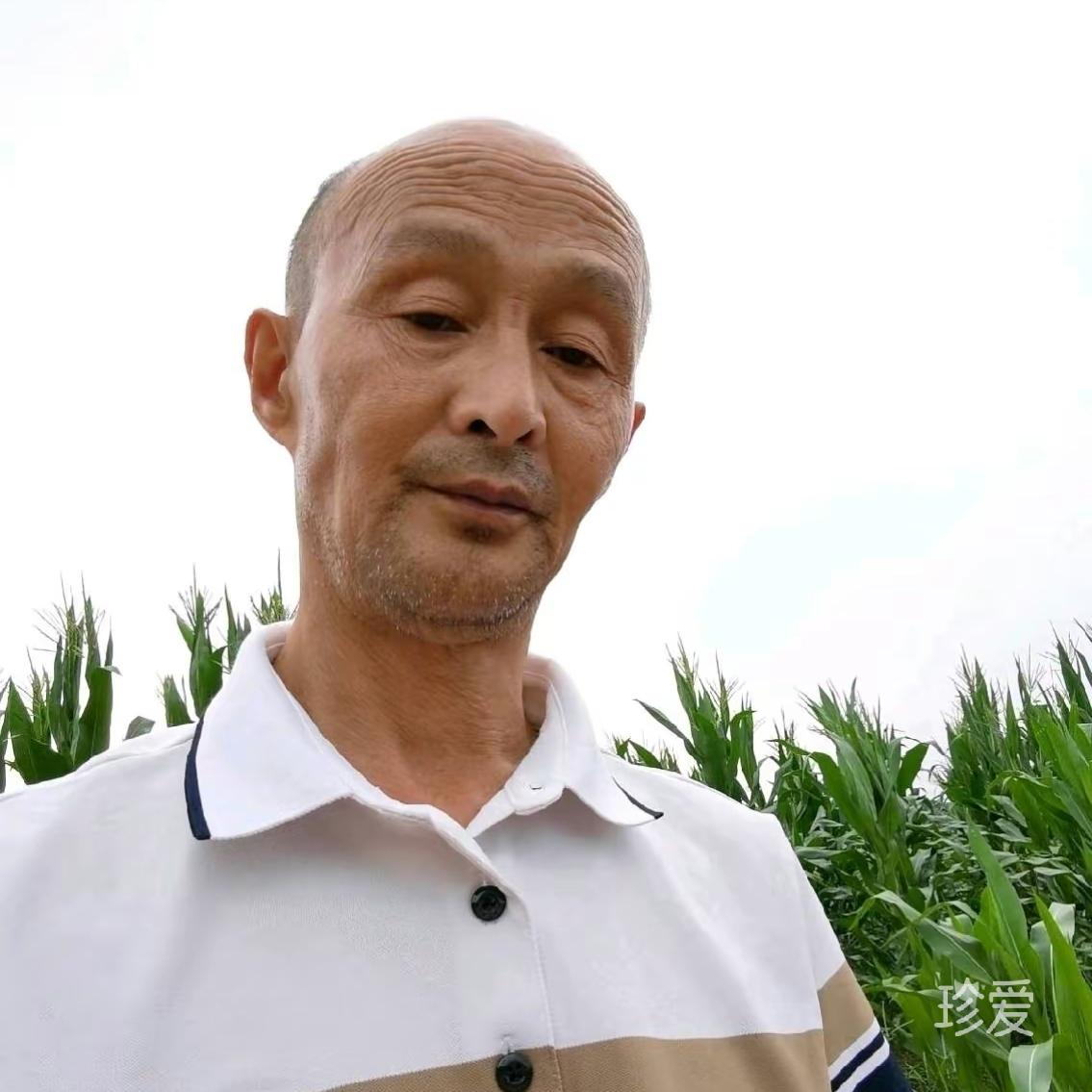 寻彼此真诚的陪伴
