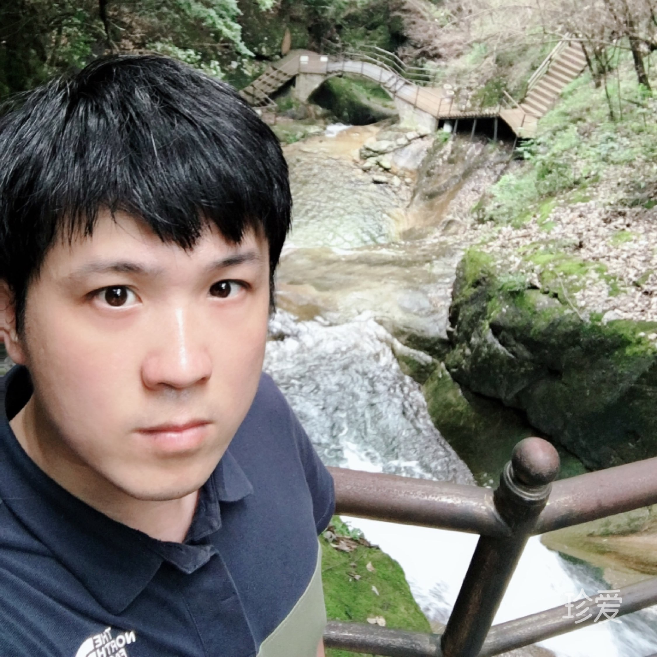 平淡平淡