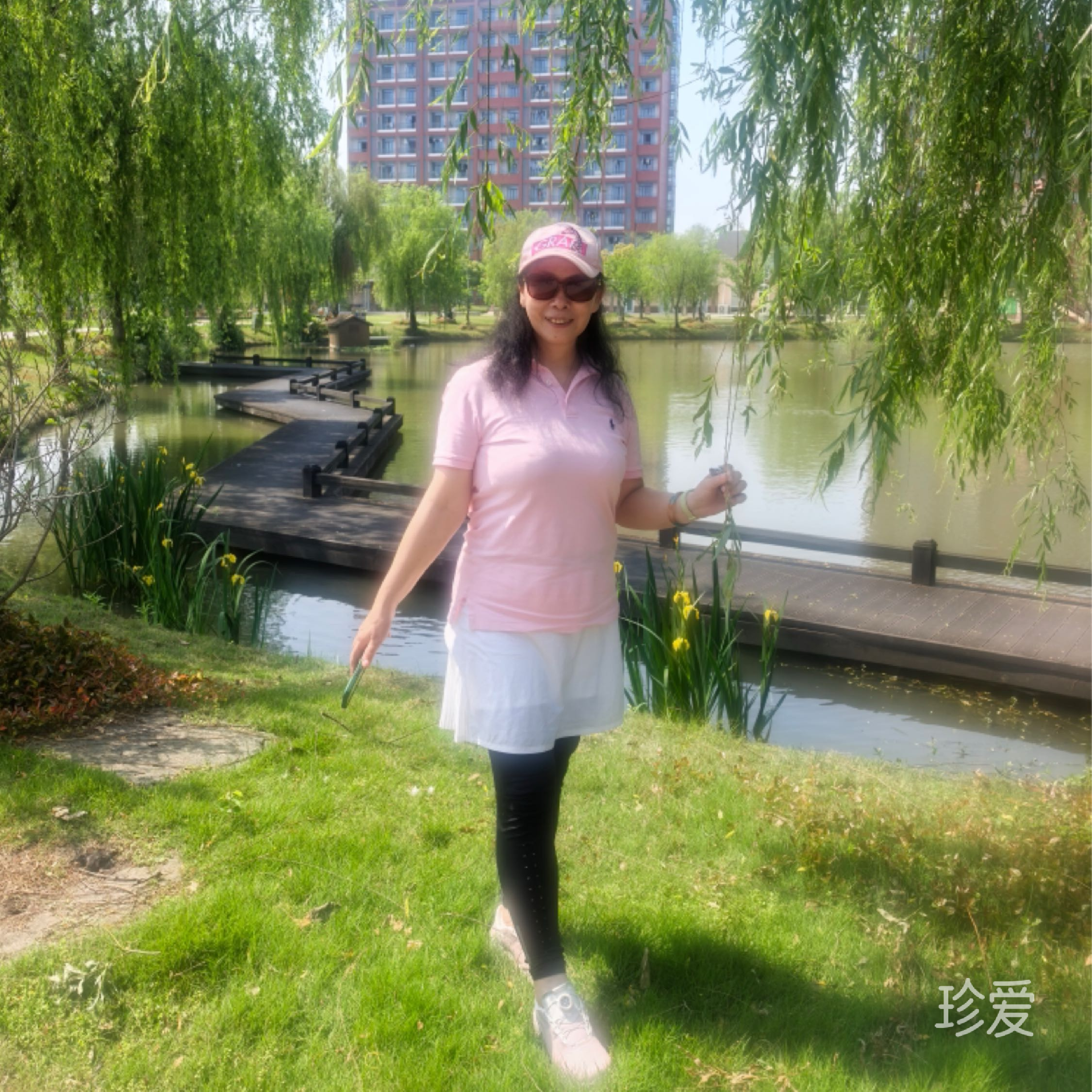 又见蔷薇花开