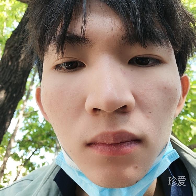 阳光的牧场
