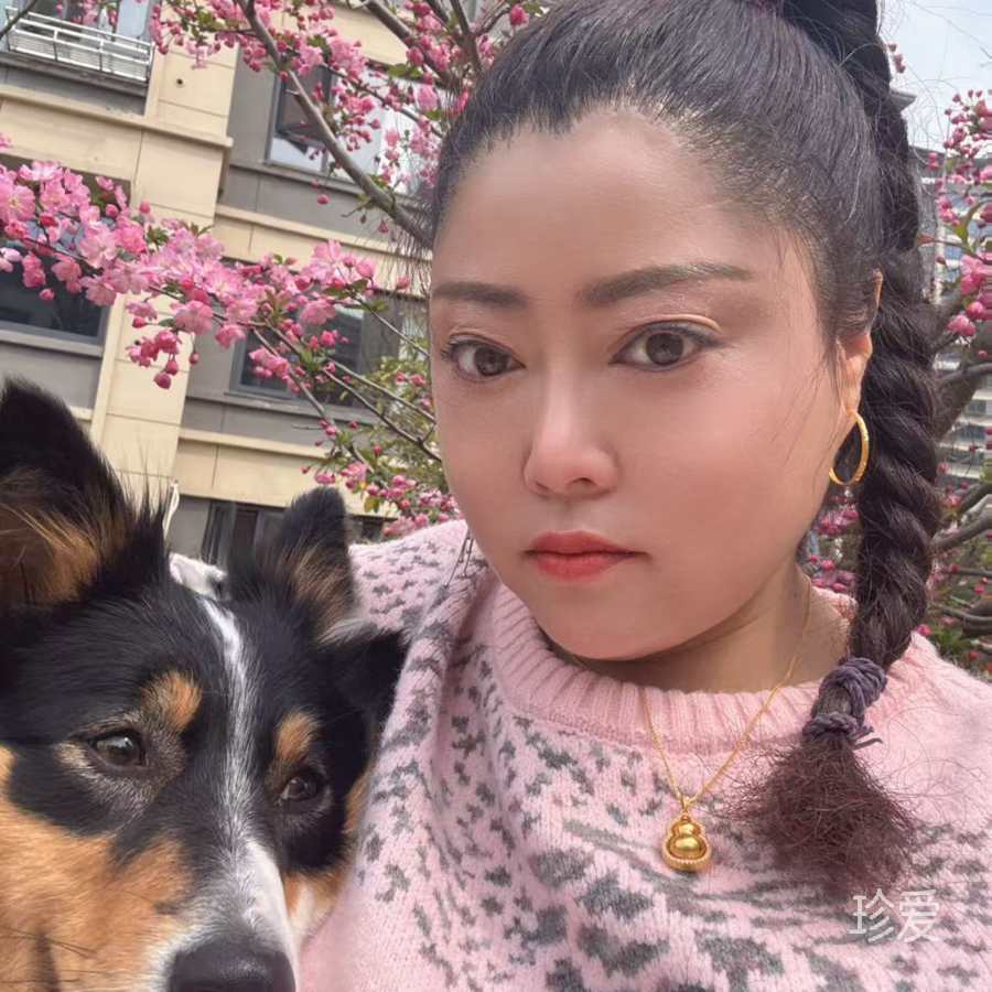 单飞的百灵