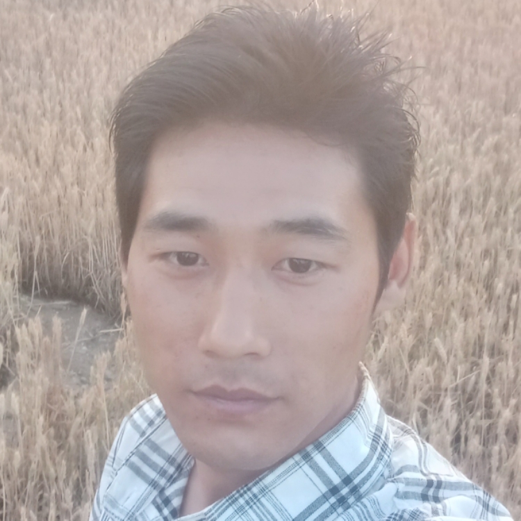 情商低但我坦荡