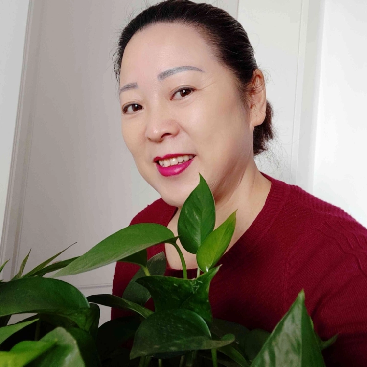 風(fēng)雨后的彩虹