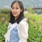 簡(jiǎn)簡(jiǎn)單單