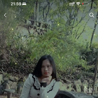 青莲