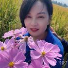 清秋