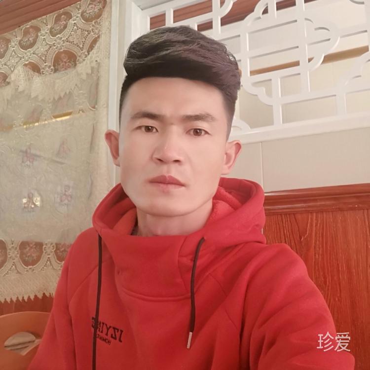 人生若只如初見