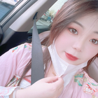 向日葵下的小貓
