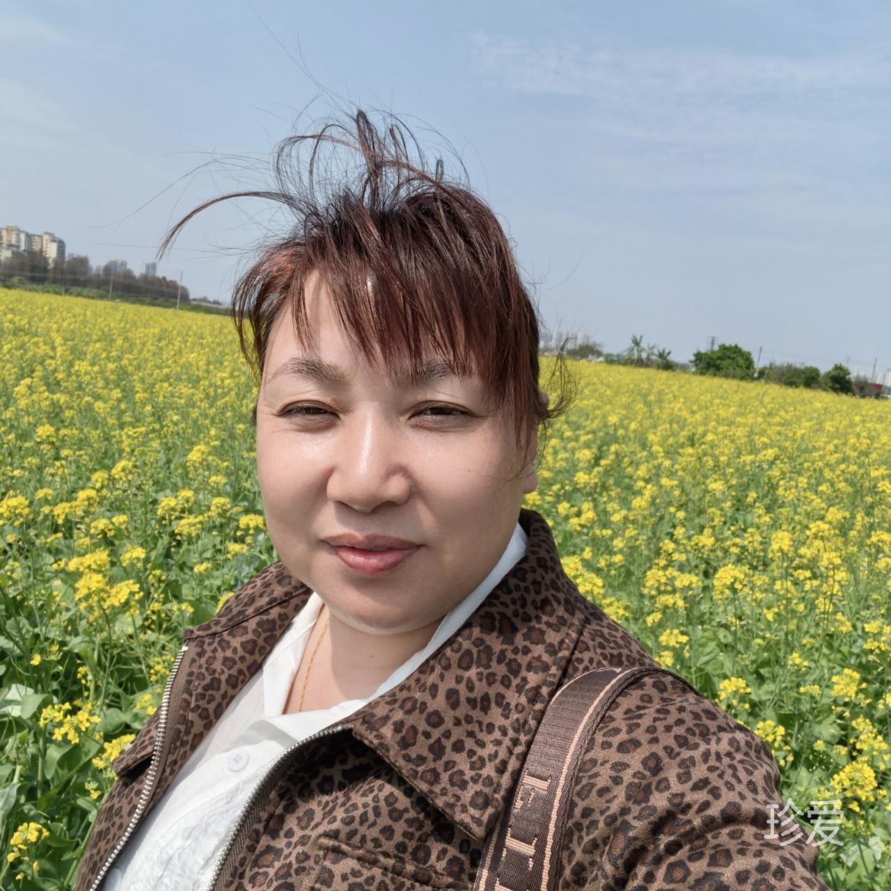 风的停留