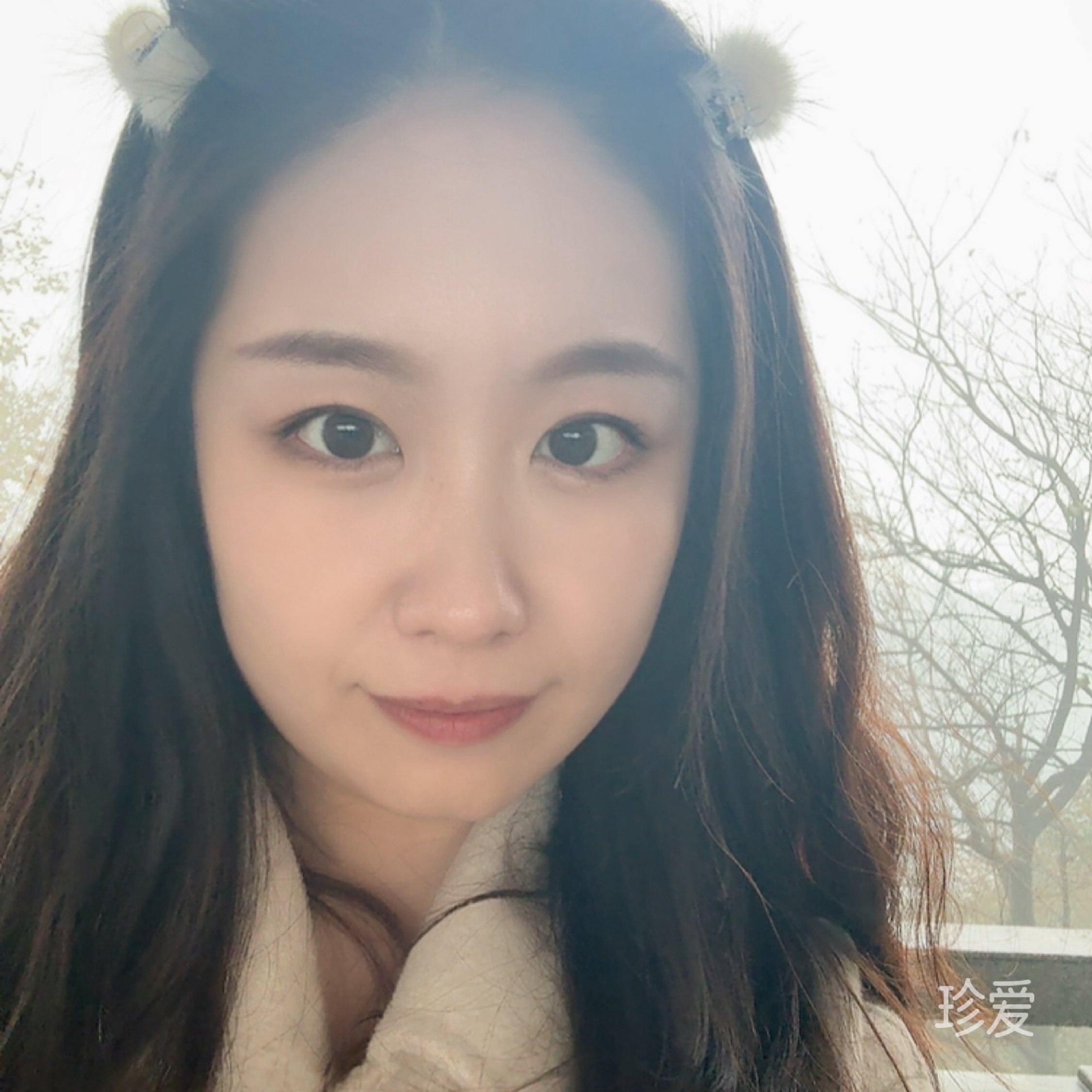 Z小姐