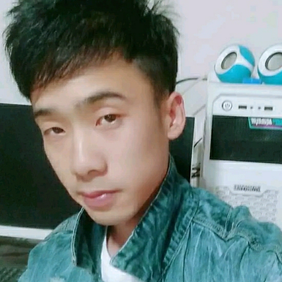 山有木兮木有枝