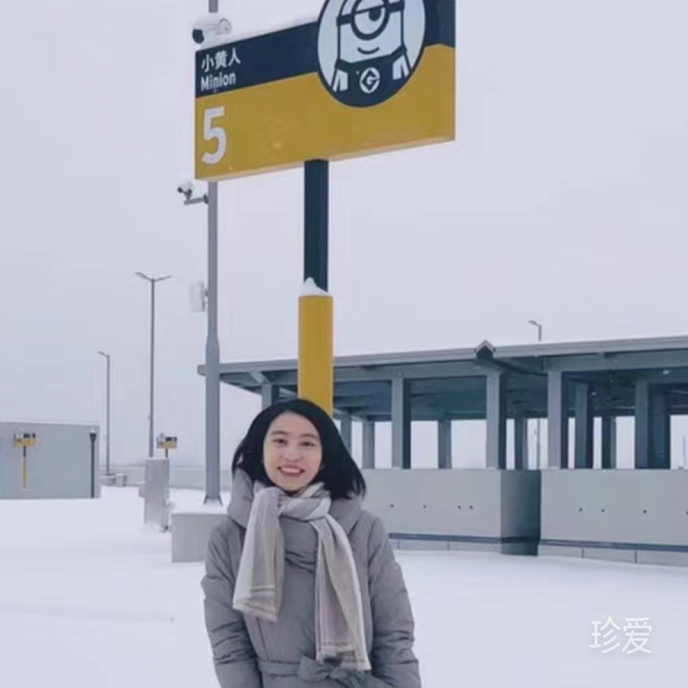 花开四季
