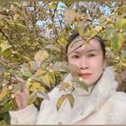 人生何處不相逢