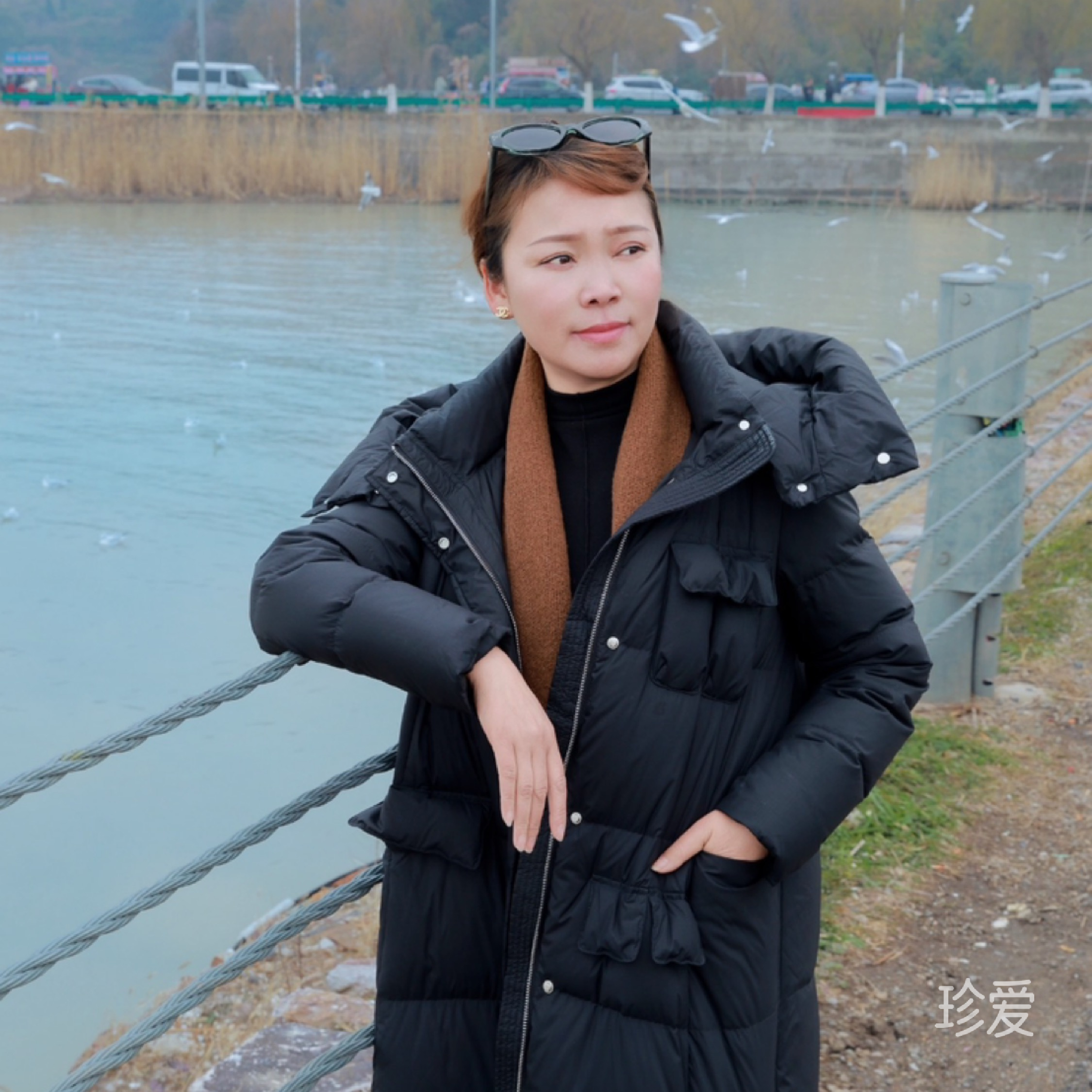 心若芷水