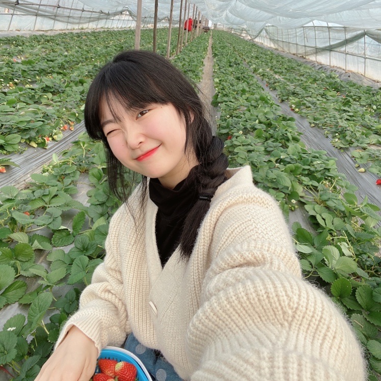 草莓味的佳佳