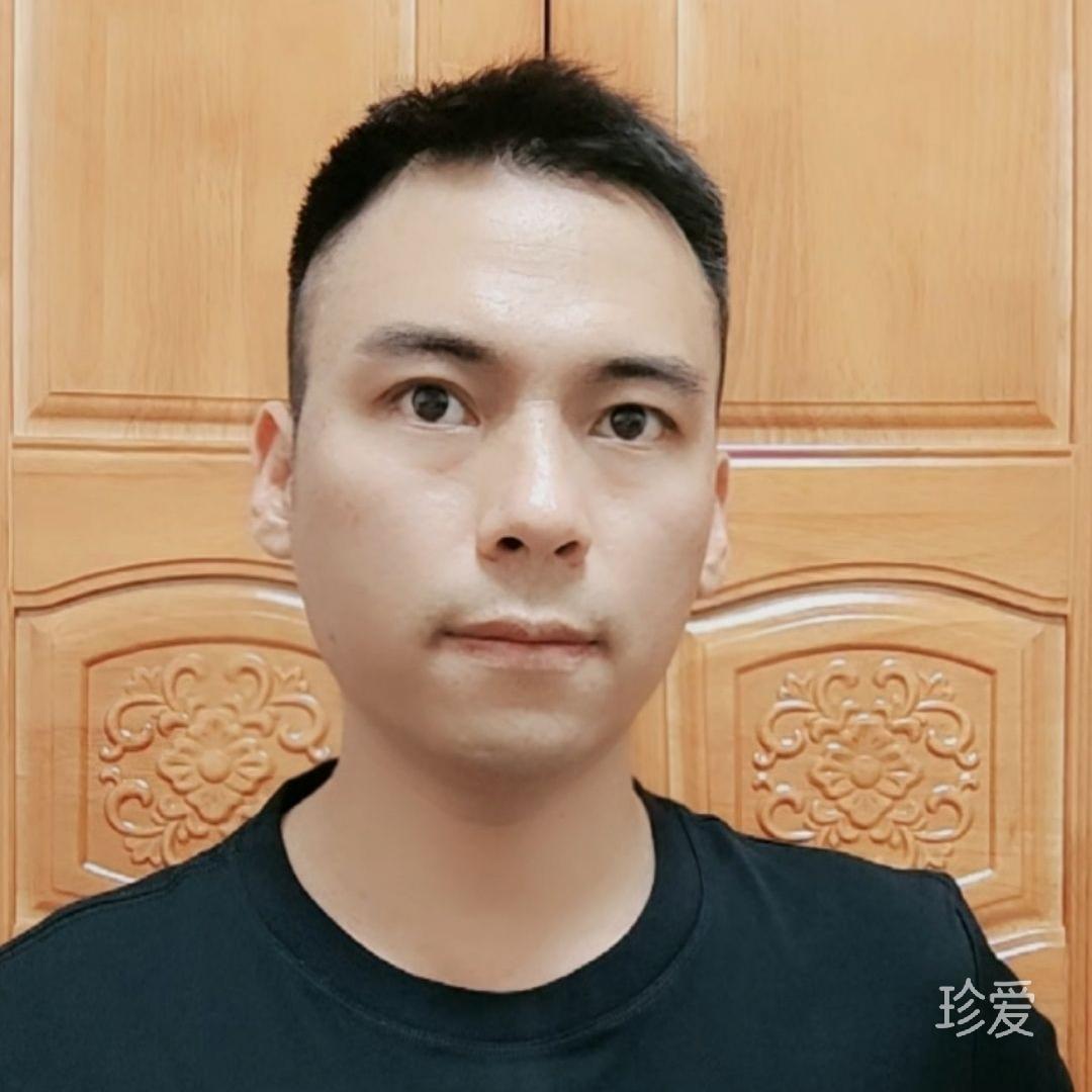 金弦木歌