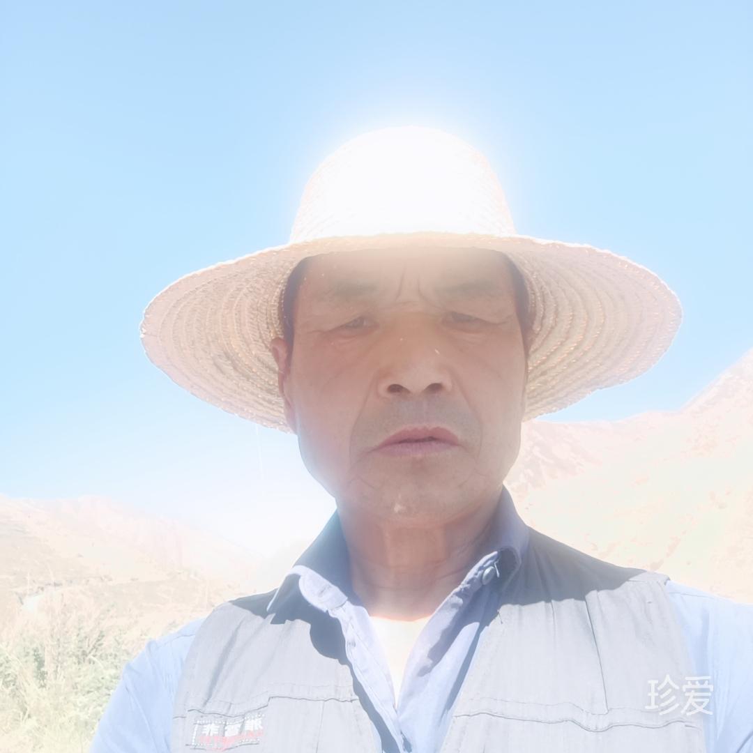 醉醒寒夜盡蒙雨