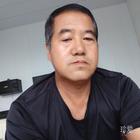 流浪的貓