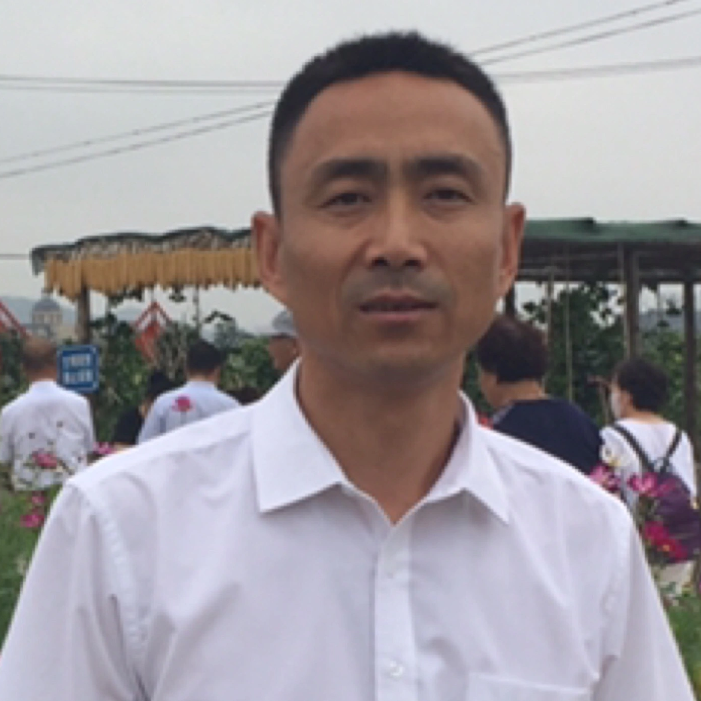 我會(huì)真心愛你