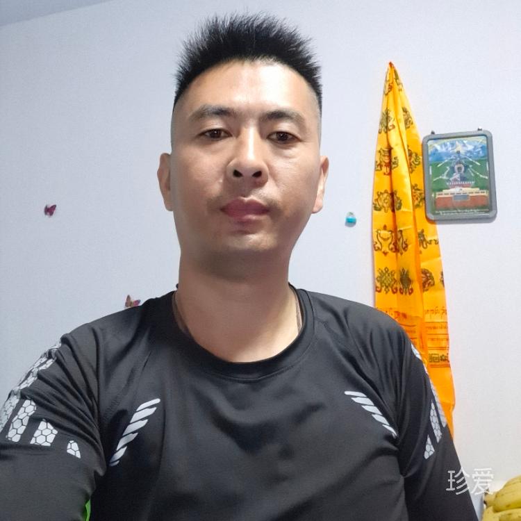 禅武医A北侠欧派