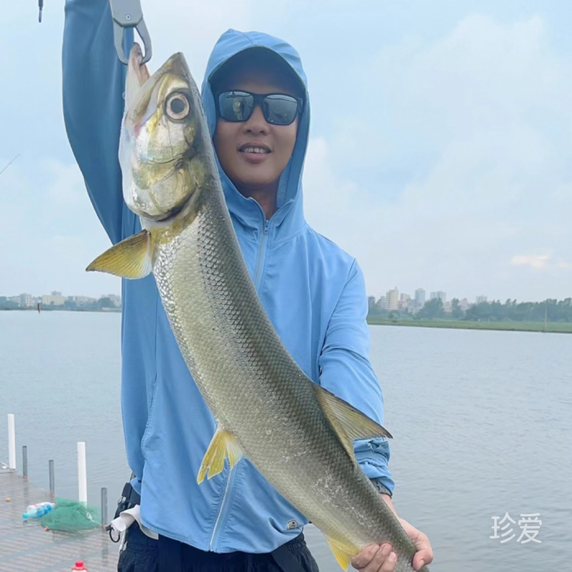 寂寞的风