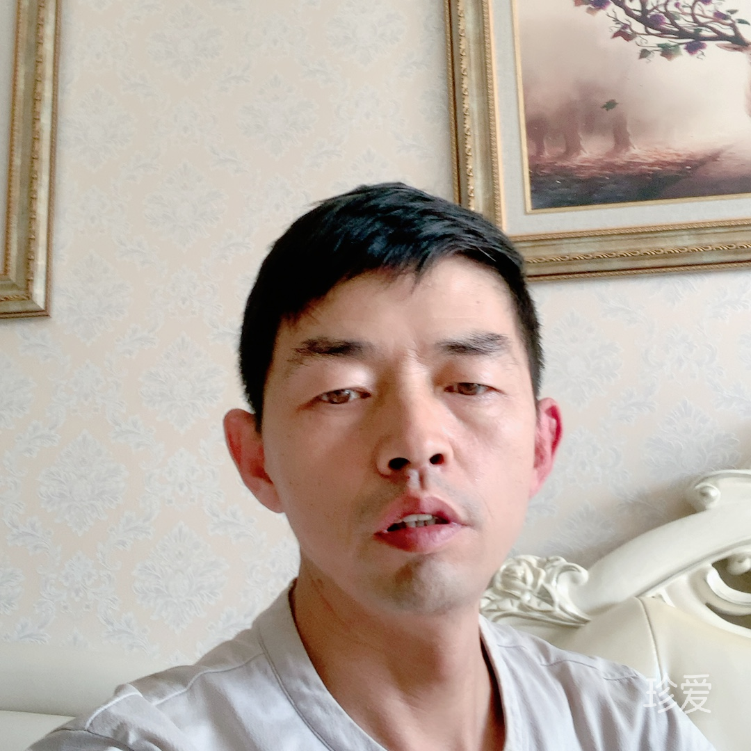 愛(ài)你不需要理由