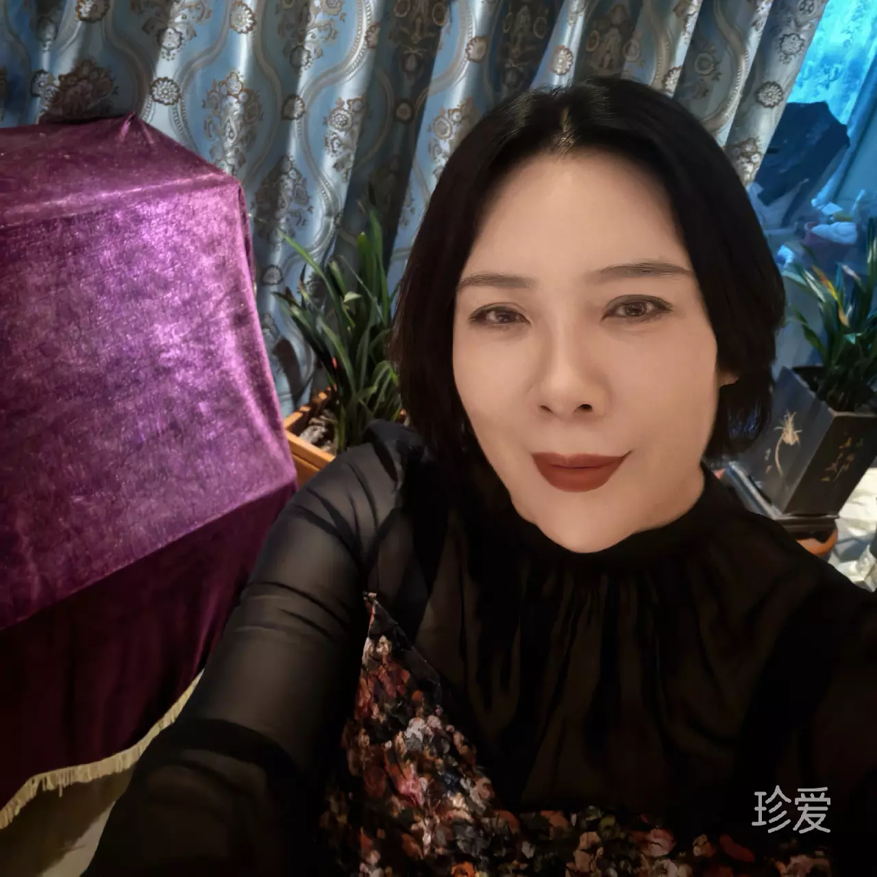 嘟嘟猪