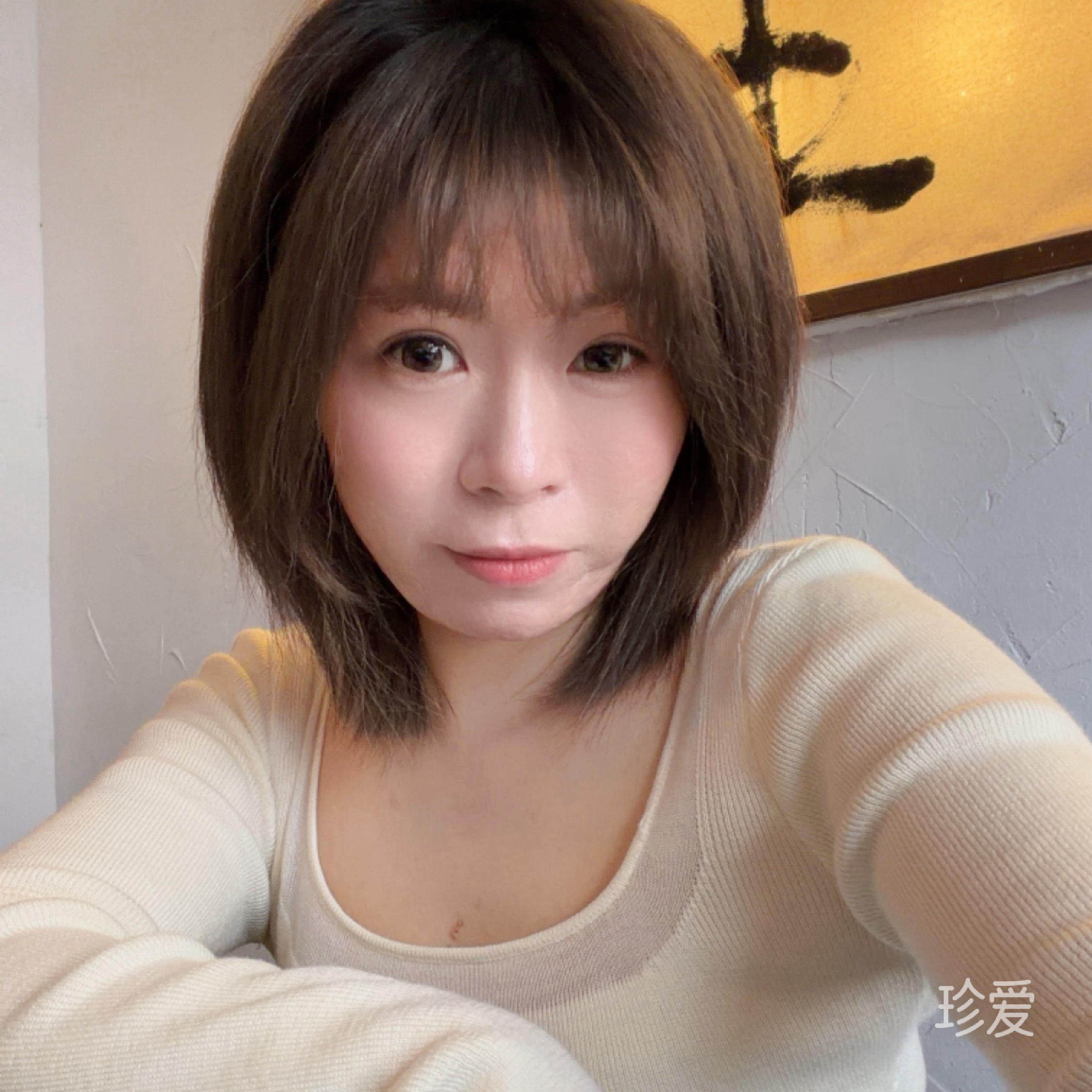 慵懒的喵喵