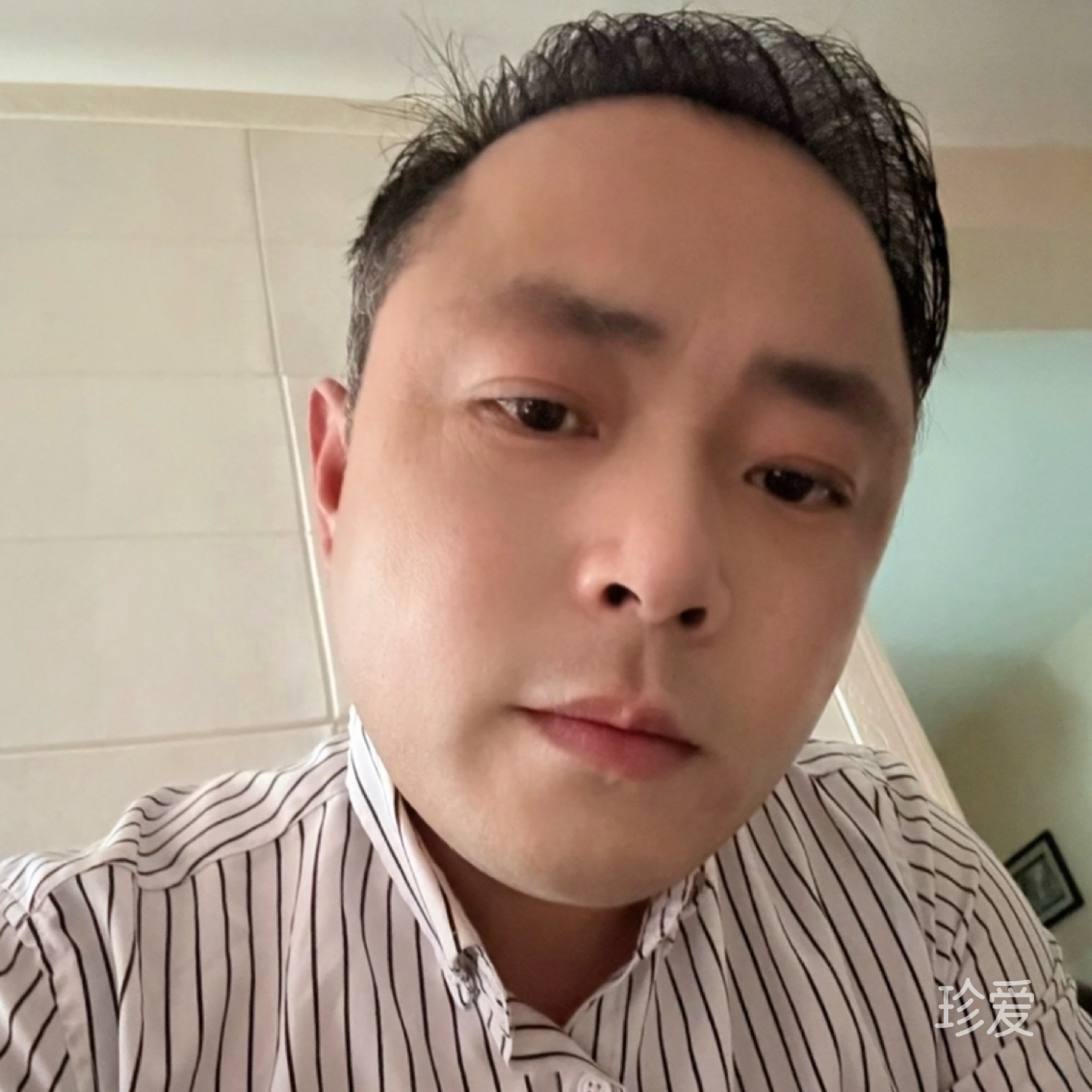 寻找真爱的神鹰