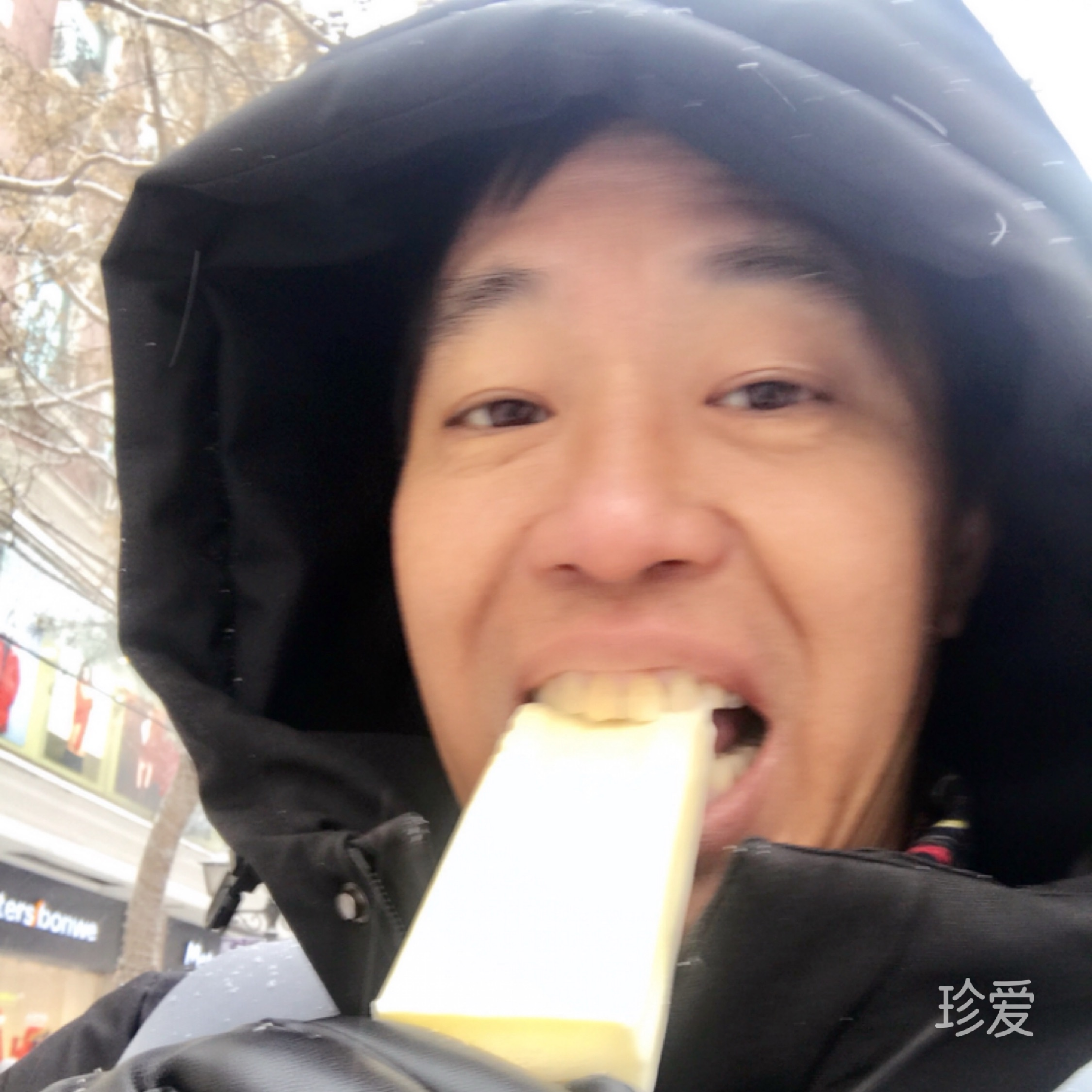 单身大树