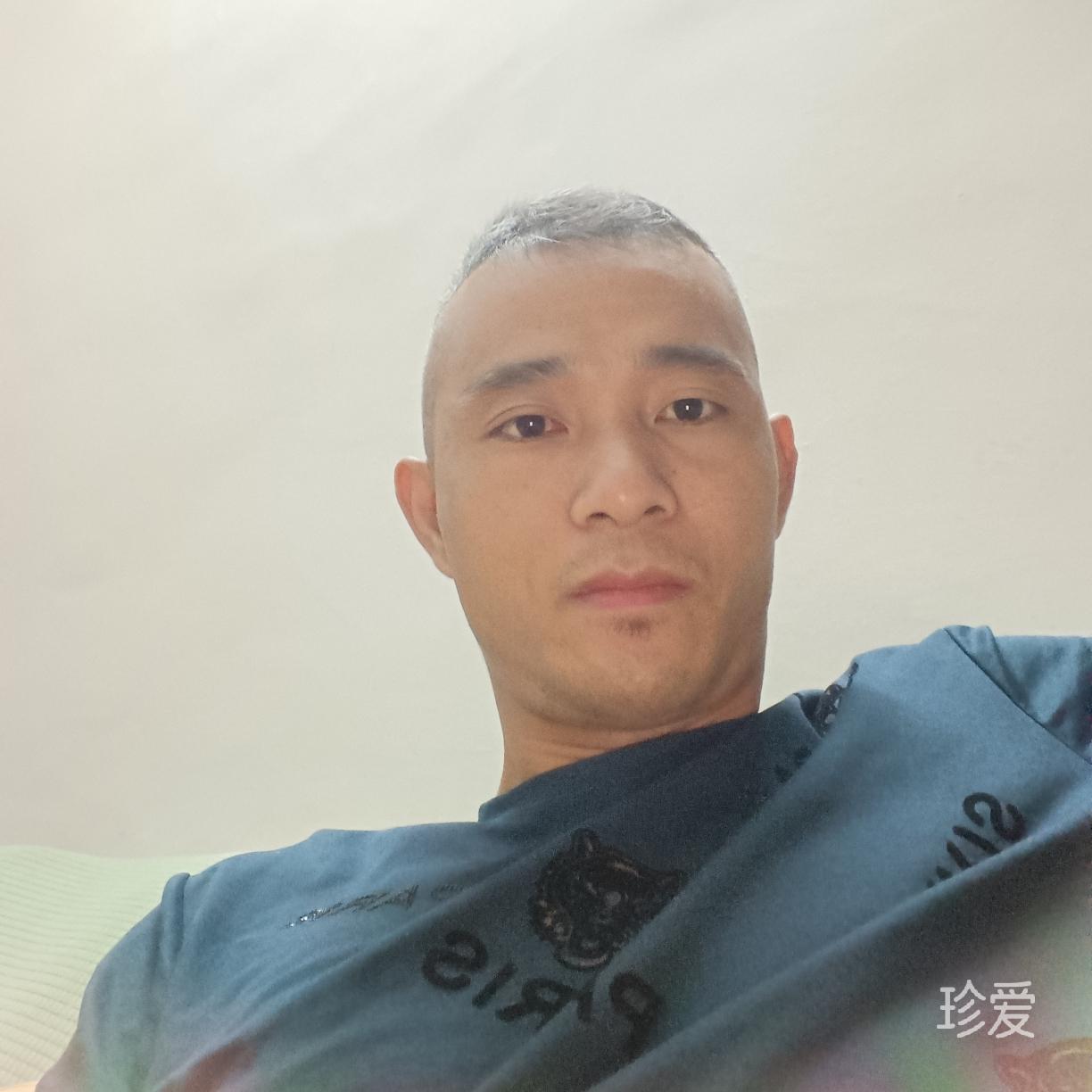 杨杨