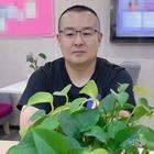 山谷里的海