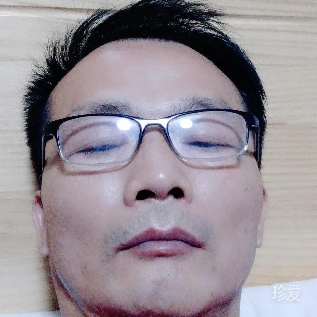 风叶树