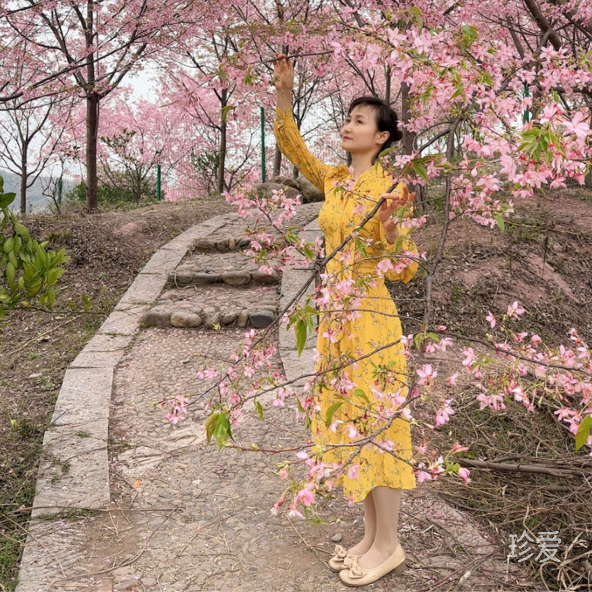 觅良人