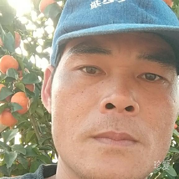 爱风爱雨也爱你